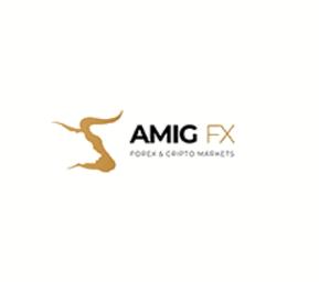 Amig FX