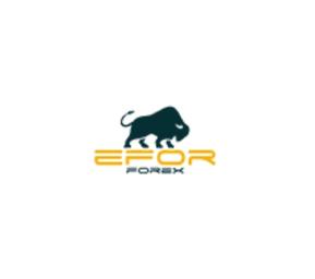 Efor FX